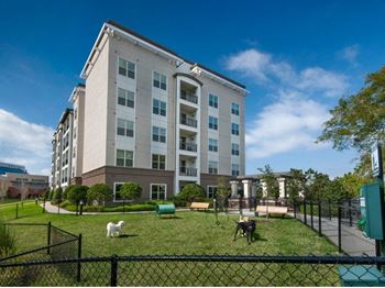 a dog park in front of a building at The Rialto, Orlando, 32819